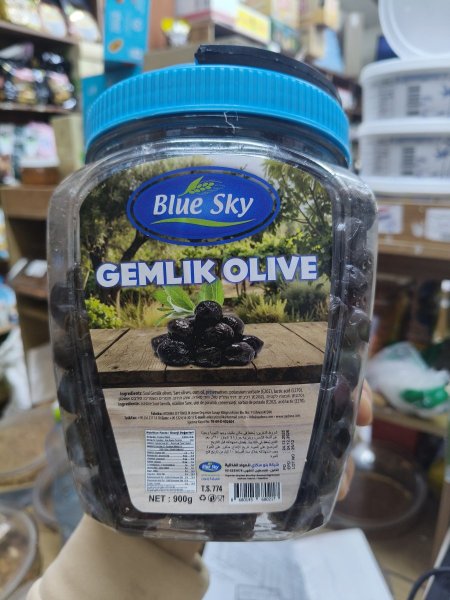 زيتون مغربي