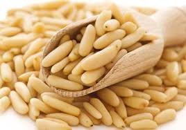 صنوبر حبه طويله