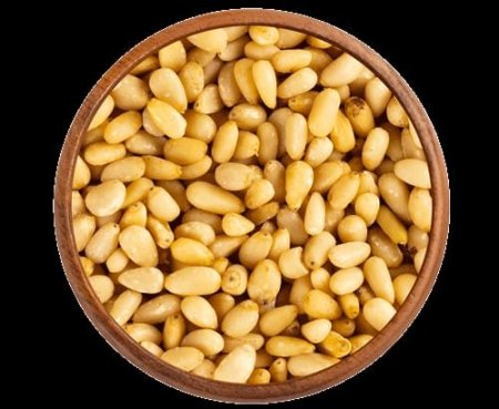 صنوبر حبه قصيرة