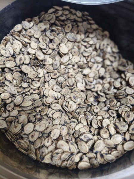 بزر بطيخ صاج جامبو