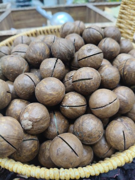 مكاديميا محمصه