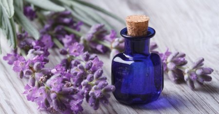 زيت الخزامى