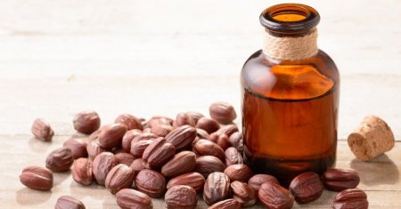 زيت الجوجوبا