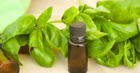 زيت الريحان