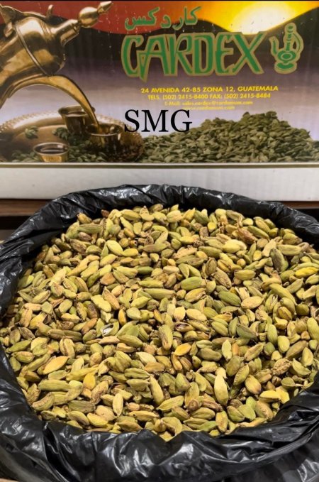 حب هان متوسط الجودة myq