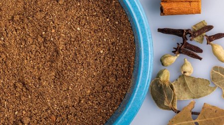 بهار جرامسالا