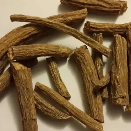 عود القسط الهندي