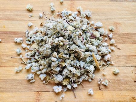 عشبة اجر الحمامة