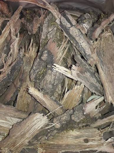 لحاء البلوط