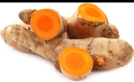 كركم اخضر عضوي الجذر البرتقالي عالي الكركمين