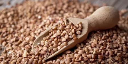 حبوب الحنطة (جريشكا )