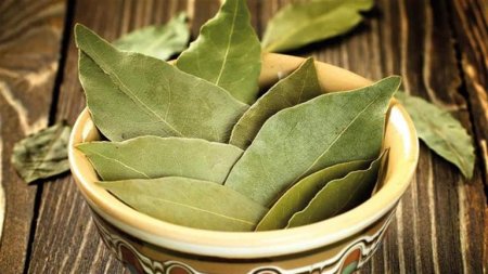 ورق الجوافا