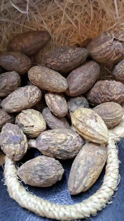 عشبه الفوانيا