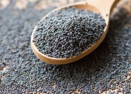 بذور خشخاش البيرك