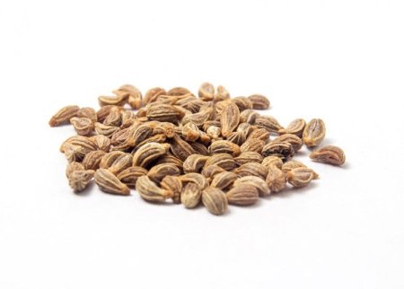 بذور البقدونس