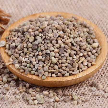 بذور السبانخ