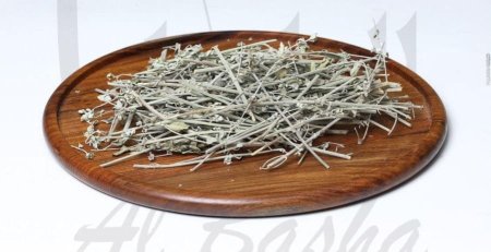 عشبه الزعيتمانه