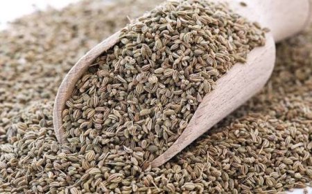 بذور الكرفس