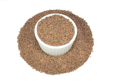 بذور الجرجير