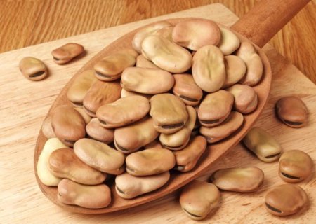 فول حبه كبيرة ارطاسي