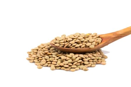 عدس حب كبير