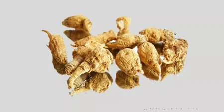 عشبه الماكا